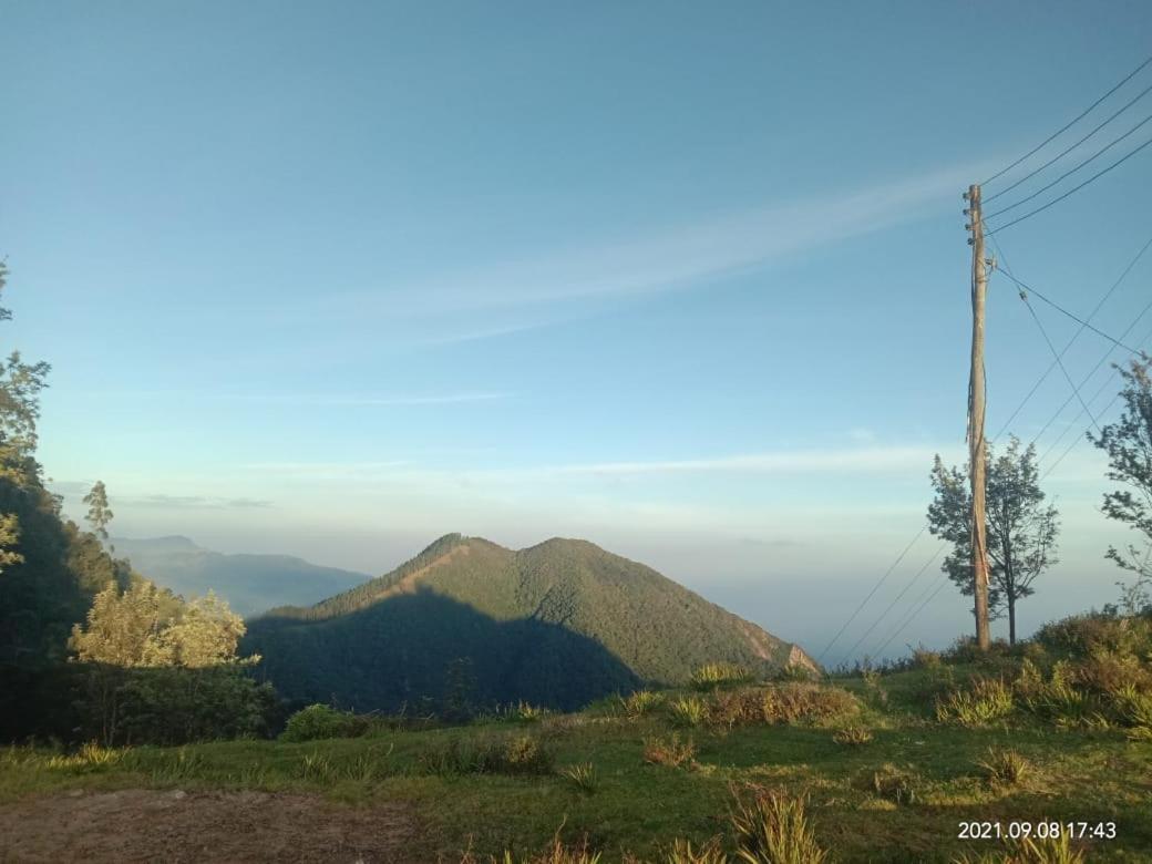 Forest Cyniciam Homestay Ohiya Kültér fotó