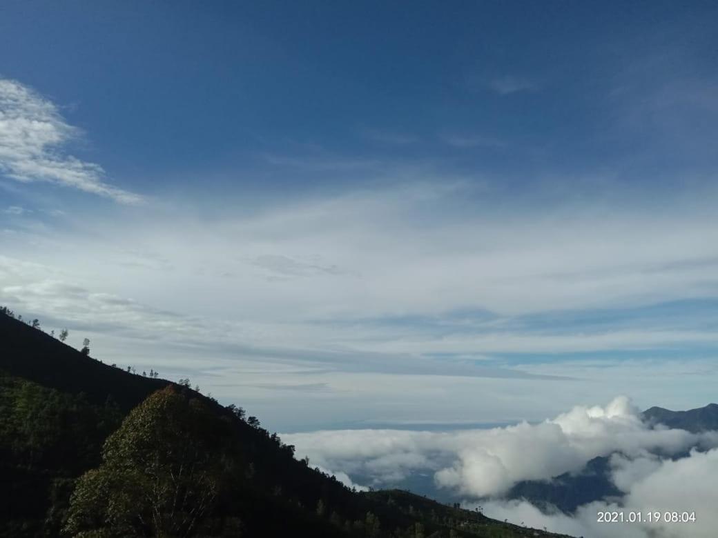 Forest Cyniciam Homestay Ohiya Kültér fotó