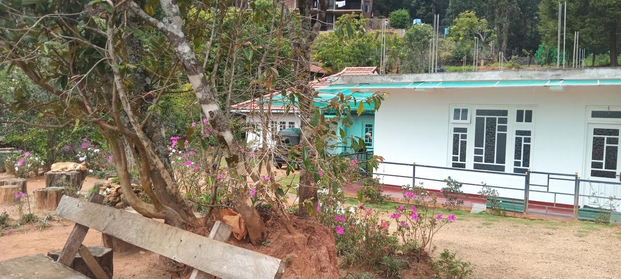Forest Cyniciam Homestay Ohiya Kültér fotó