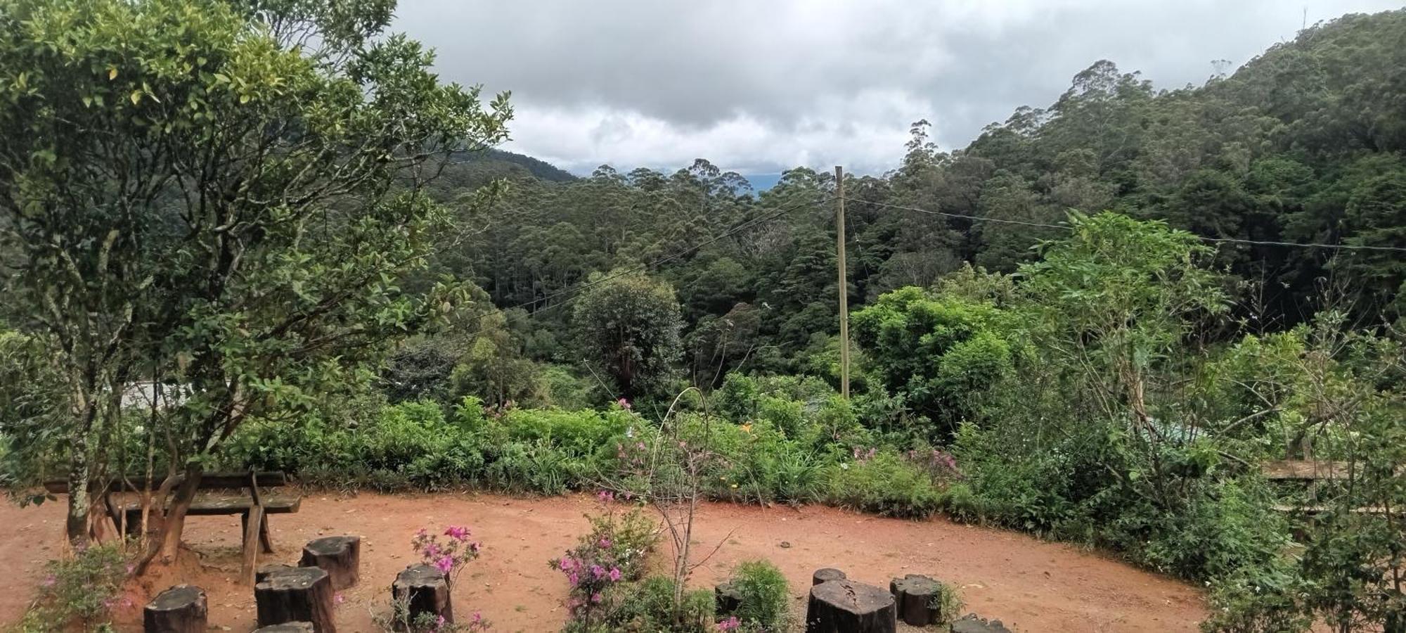 Forest Cyniciam Homestay Ohiya Szoba fotó