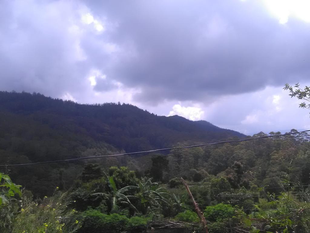 Forest Cyniciam Homestay Ohiya Kültér fotó