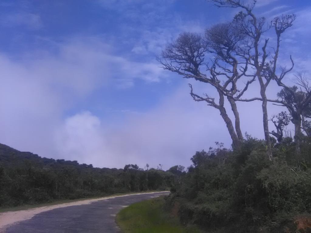 Forest Cyniciam Homestay Ohiya Kültér fotó