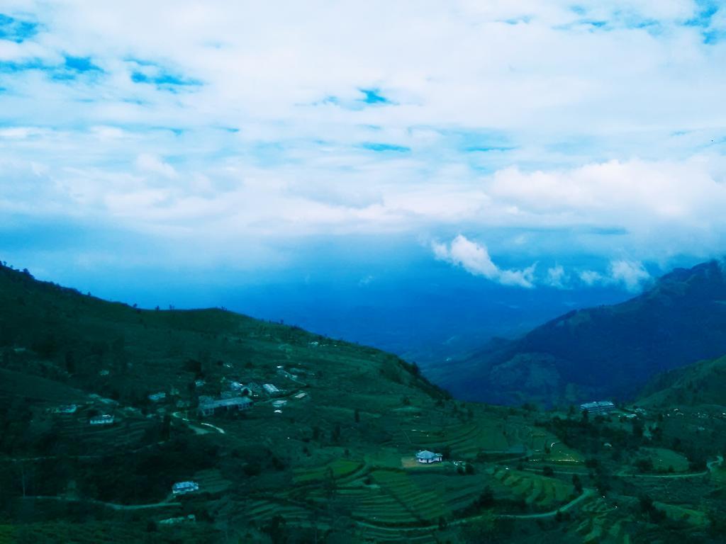 Forest Cyniciam Homestay Ohiya Kültér fotó