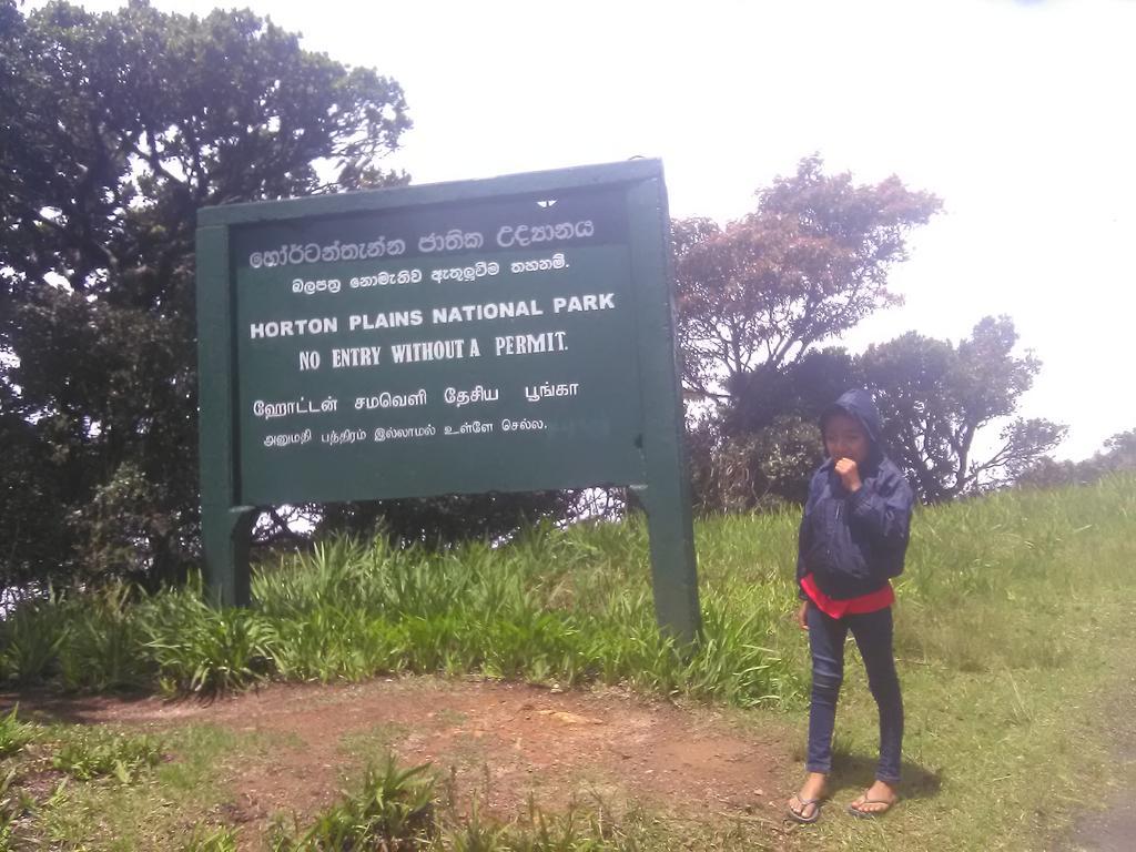 Forest Cyniciam Homestay Ohiya Kültér fotó