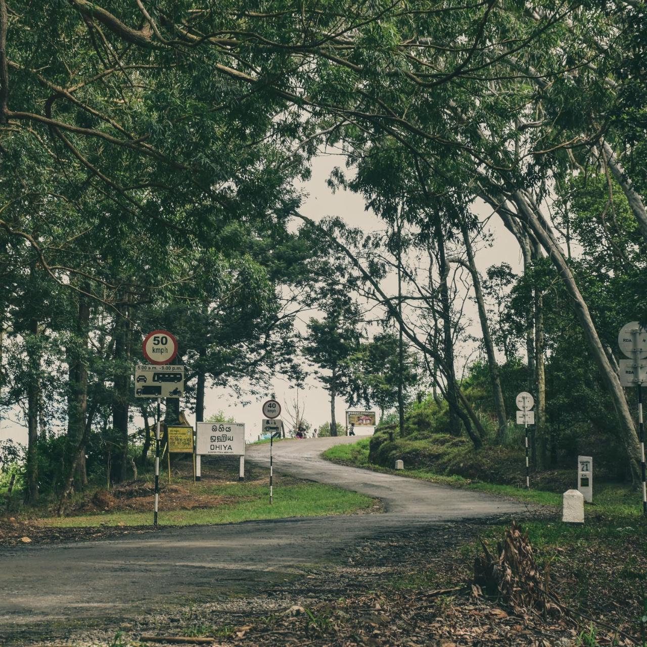 Forest Cyniciam Homestay Ohiya Kültér fotó