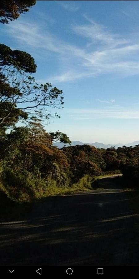 Forest Cyniciam Homestay Ohiya Kültér fotó