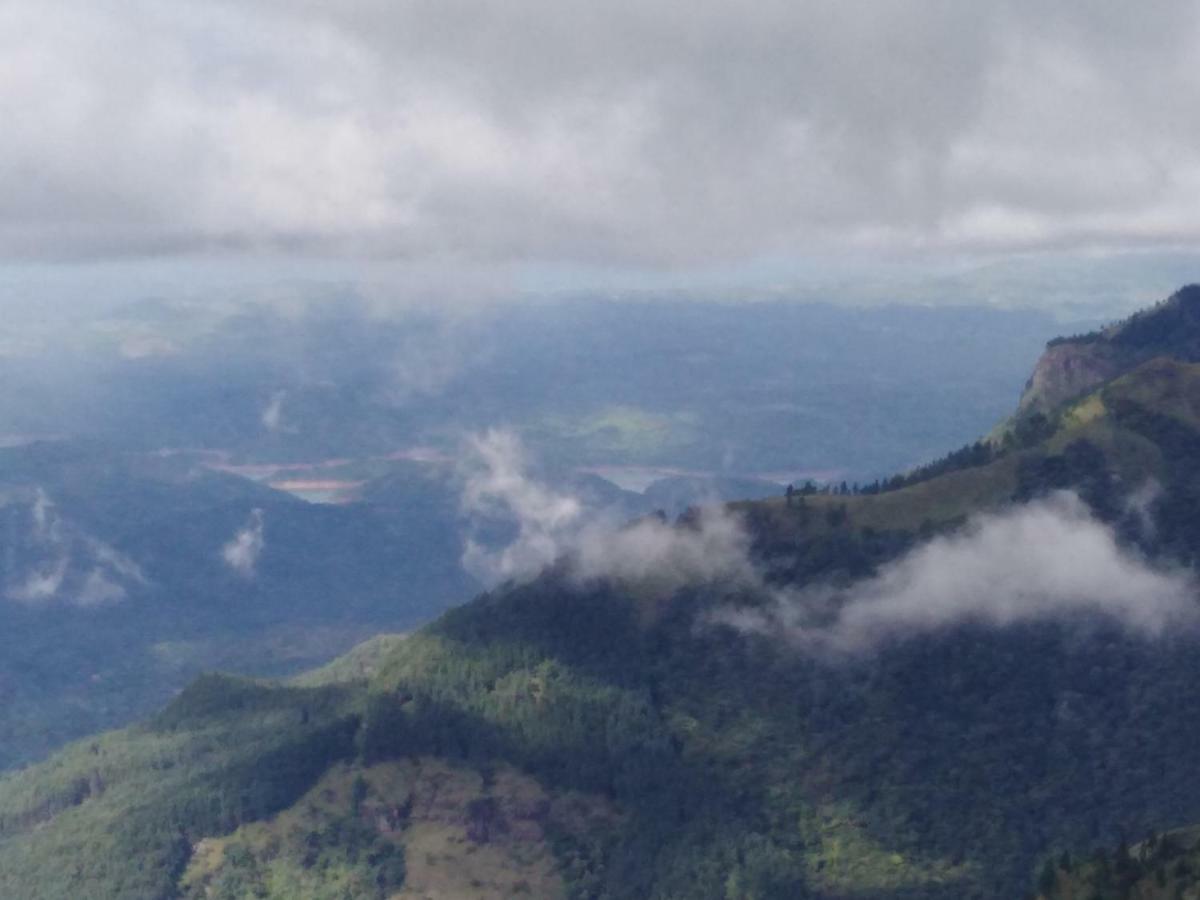 Forest Cyniciam Homestay Ohiya Kültér fotó