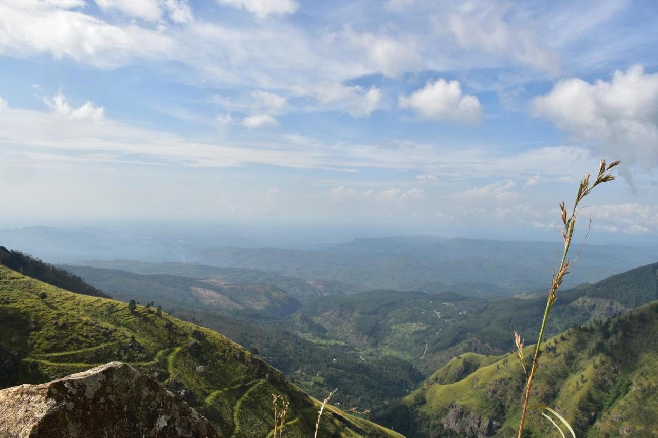 Forest Cyniciam Homestay Ohiya Kültér fotó